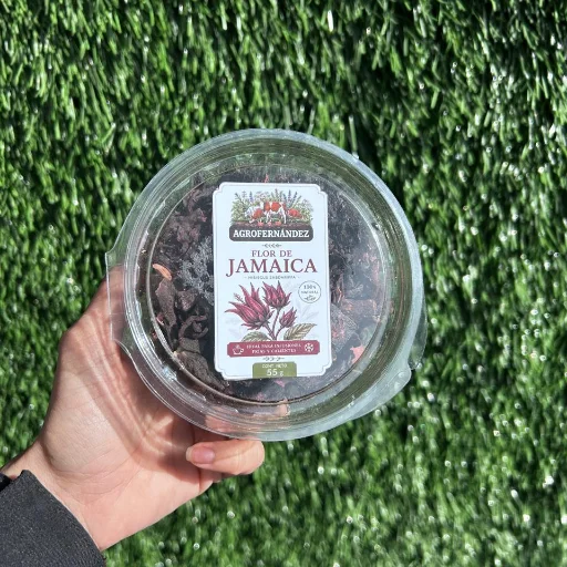 Flor de Jamaica