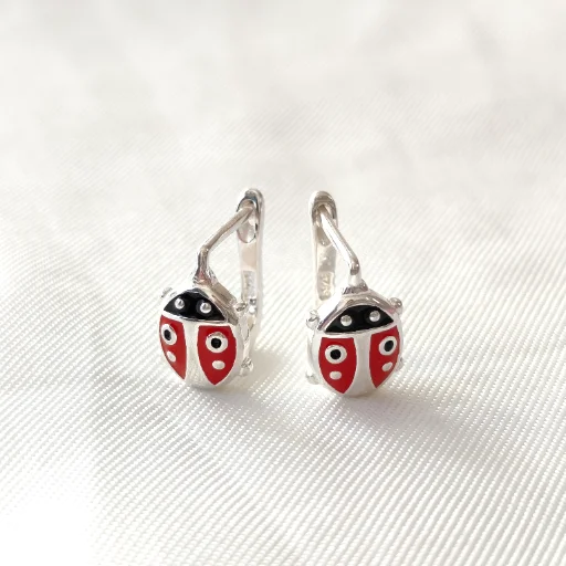 Aros de plata