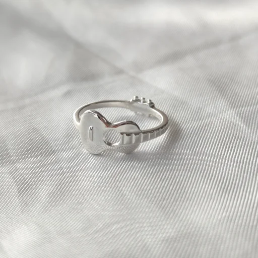 ANILLOS DE PLATA - imagen 12