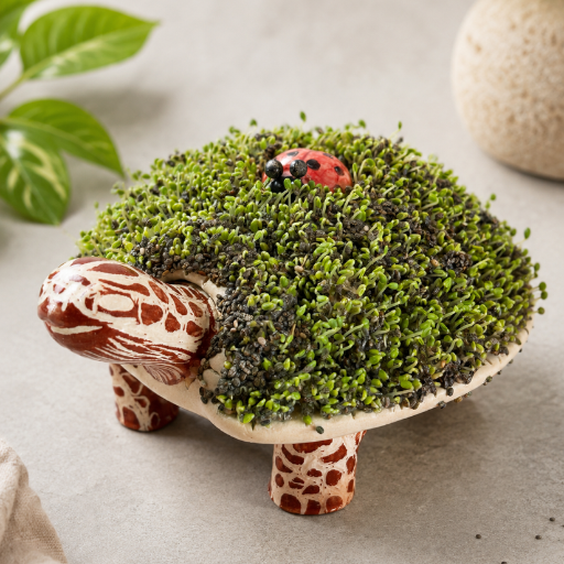 Germinadores - imagen 3