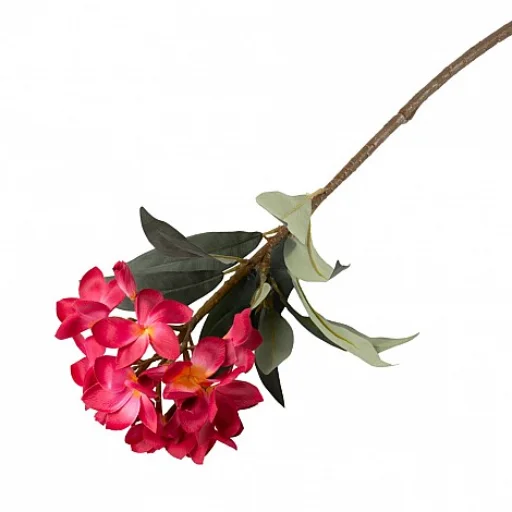 VARA FRANGIPANY FUCSIA - 88 CM