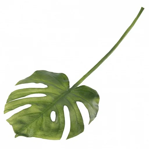 VARA MONSTERA VERDE - 67 CM