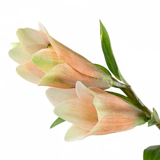 VARA TIGER ROSA - 83 CM