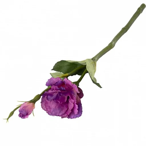 VARA LISIAUNTUS - VIOLETA CHICA 38 CM