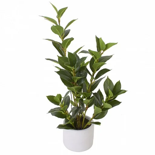 MACETA SUCULENTA - 47 CM