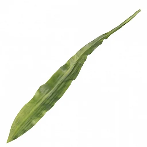 VARA GYMEA VERDE - 107 CM