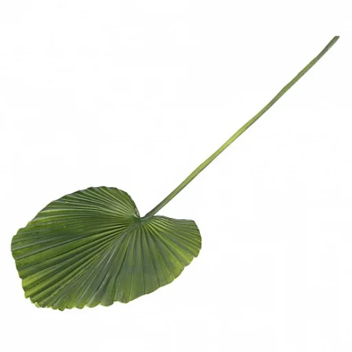 VARA PALM VERDE - 64 CM