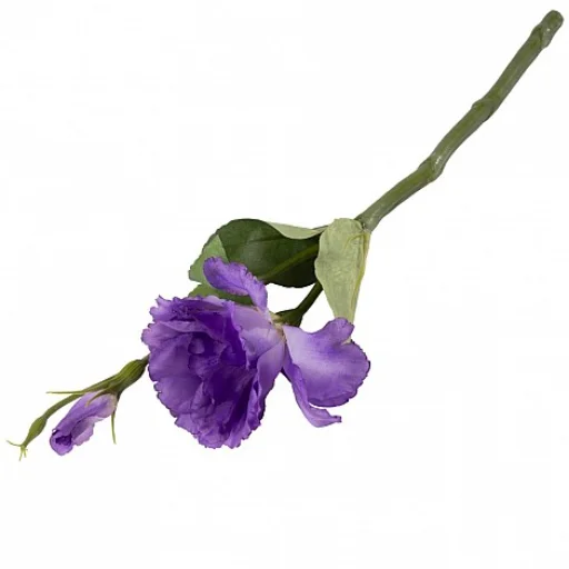 VARA LISIAUNTUS - LAVANDA CHICA 38 CM