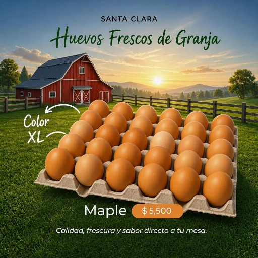 Huevos de Granja - imagen 4