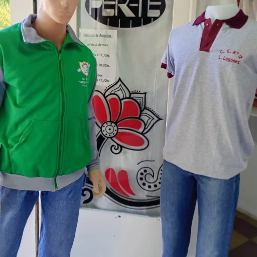 Chombas y Camperas Esc. Secundario