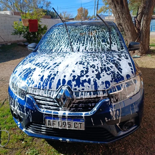 LAVADO DE AUTO / MOTO