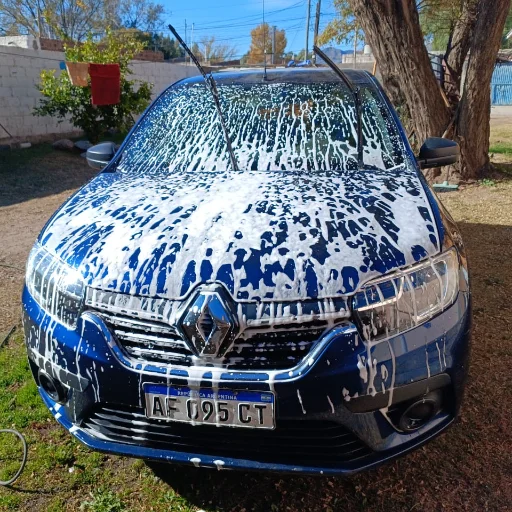 LAVADO DE AUTO / MOTO