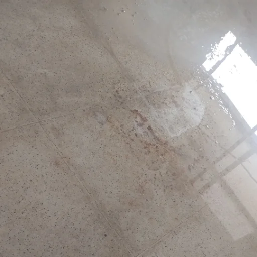 PULIDOS DE PISOS GRANITO HOTEL DE LA PUNTA SL - imagen 6