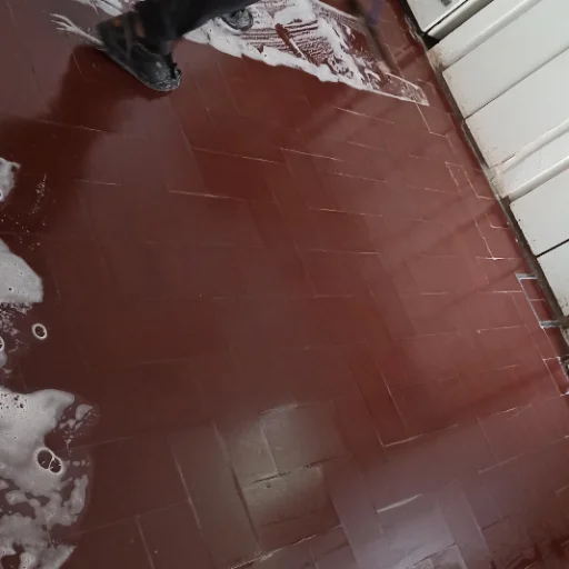 PULIDOS DE PISOS CALCAREO ROJO - imagen 7
