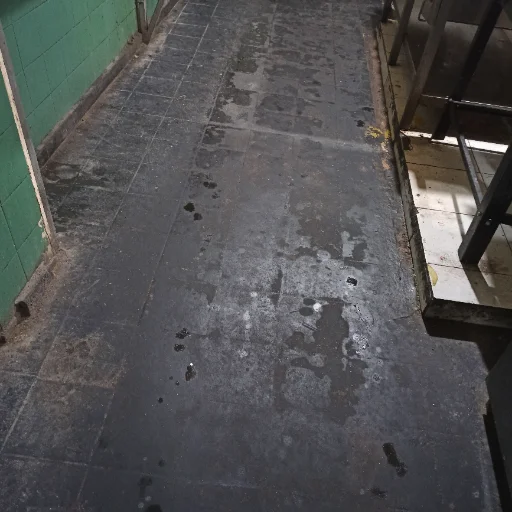 PULIDOS DE PISOS CALCAREO Y GRANITO NEGRO VESANIA