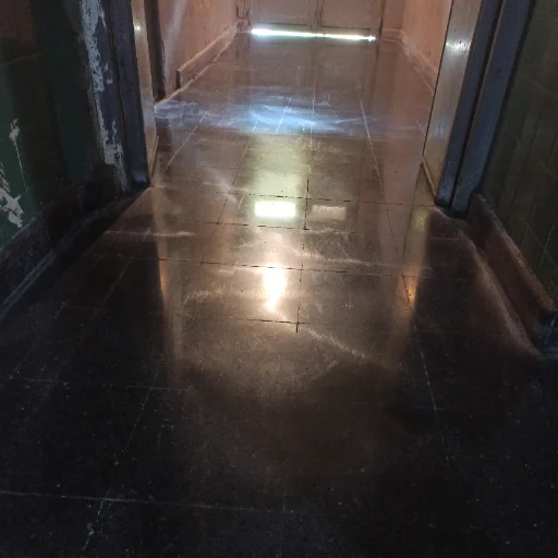 PULIDOS DE PISOS CALCAREO Y GRANITO NEGRO VESANIA - imagen 10