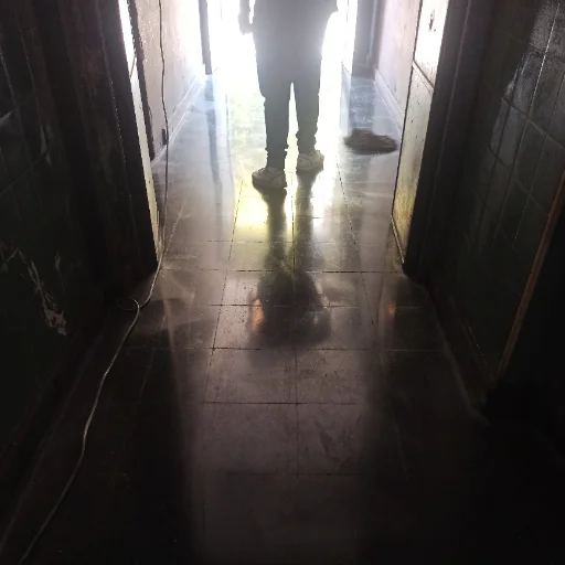 PULIDOS DE PISOS CALCAREO Y GRANITO NEGRO VESANIA - imagen 13