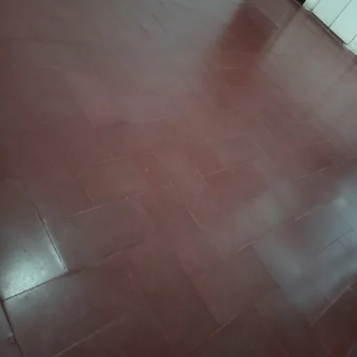 PULIDOS DE PISOS CALCAREO ROJO - imagen 11