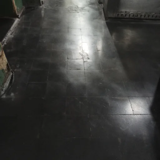 PULIDOS DE PISOS CALCAREO Y GRANITO NEGRO VESANIA - imagen 6
