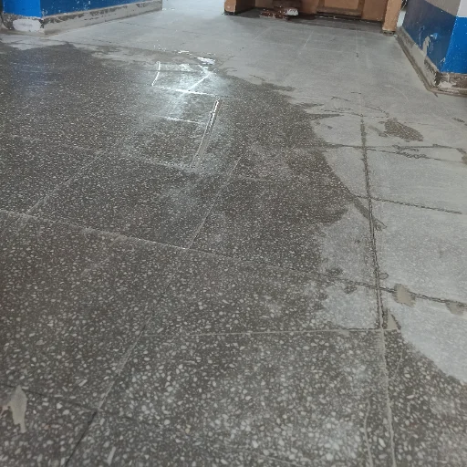 PULIDOS DE PISO GRANITICO COMISARIA LA PUNTA