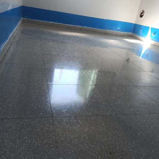 PULIDOS DE PISO GRANITICO COMISARIA LA PUNTA - imagen 6