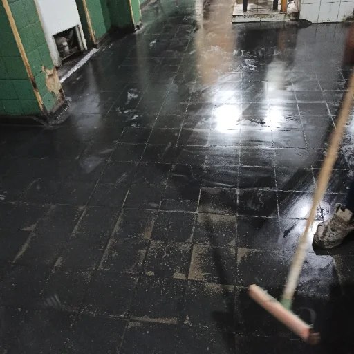 PULIDOS DE PISOS CALCAREO Y GRANITO NEGRO VESANIA - imagen 5