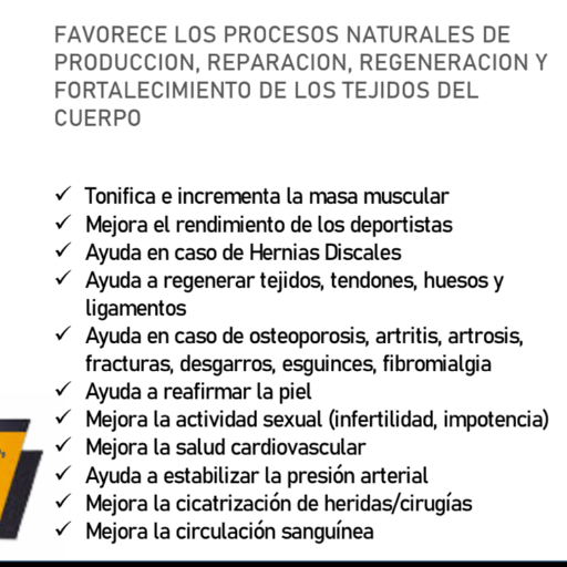 Power Maker - imagen 7