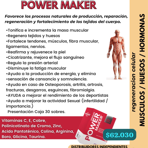 Power Maker - imagen 8