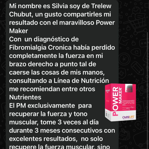 Power Maker - imagen 4